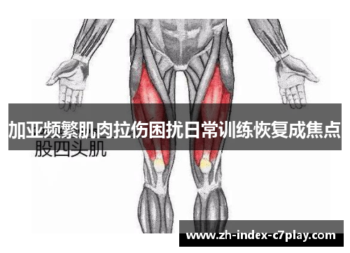 加亚频繁肌肉拉伤困扰日常训练恢复成焦点 加亚频繁肌肉拉伤困扰日常训练恢复成焦点