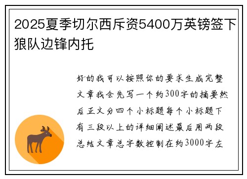 2025夏季切尔西斥资5400万英镑签下狼队边锋内托 2025夏季切尔西斥资5400万英镑签下狼队边锋内托
